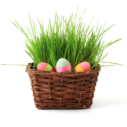 Oster Specials im KGV Unser Garten e.V. vom 08. April bis 17. April 2022